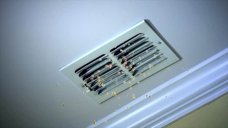 Best Ventilation Cleaning Services  in Sheboygan, WI